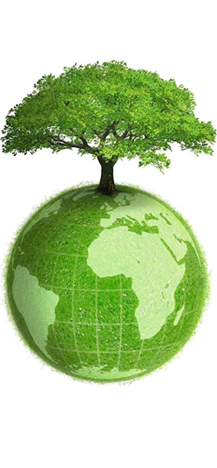 3377体育 - 全网最全最有态度的体育赛事直播平台